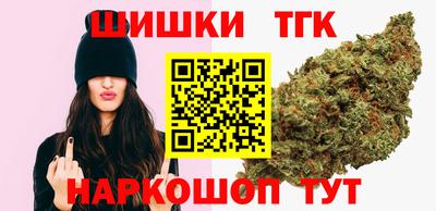 СК Кингисепп